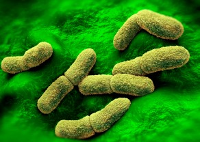 چراغ ضدعفونی کننده BETA UVC