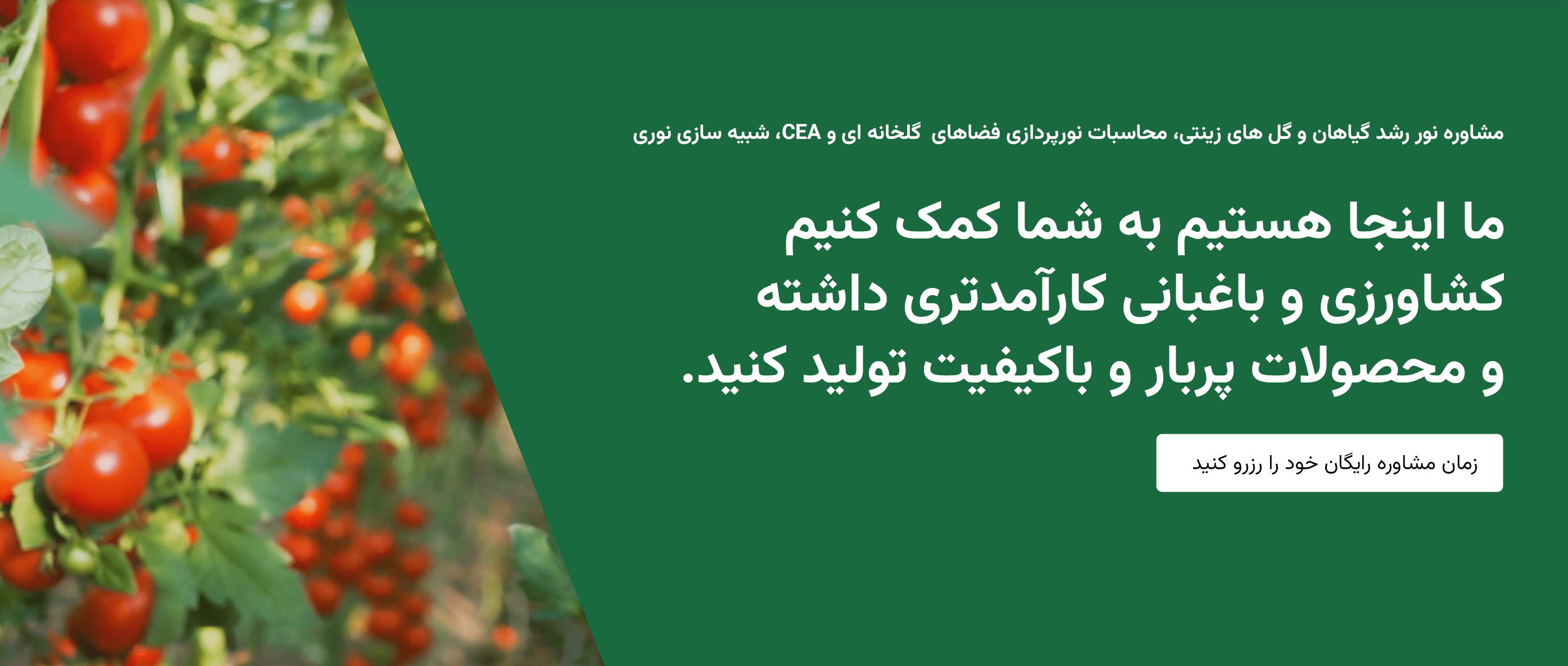 خدمات نورپردازی گلخانه ای