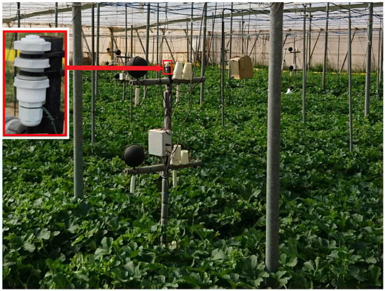 اندازه گیری فرابنفش در گلخانه